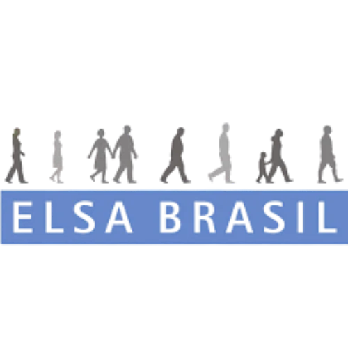 Brazilian Longitudinal Study of Adult Health logo