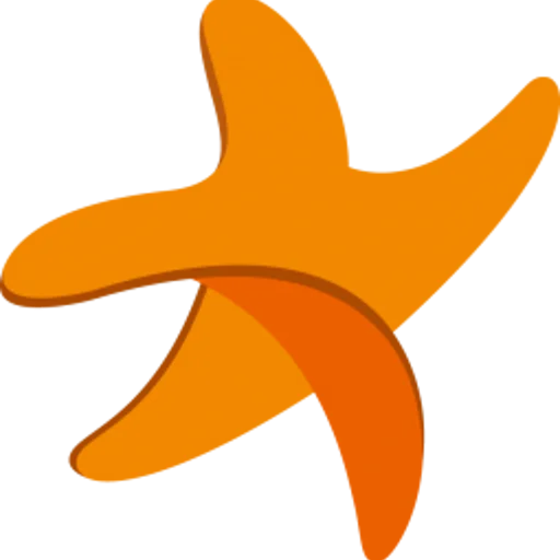 Danish Cerebral Palsy Follow-up Program logo