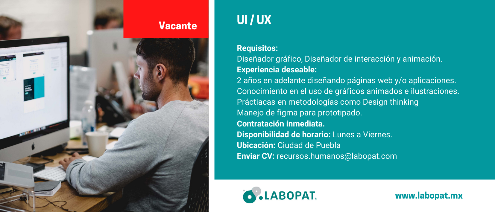 UI / UX