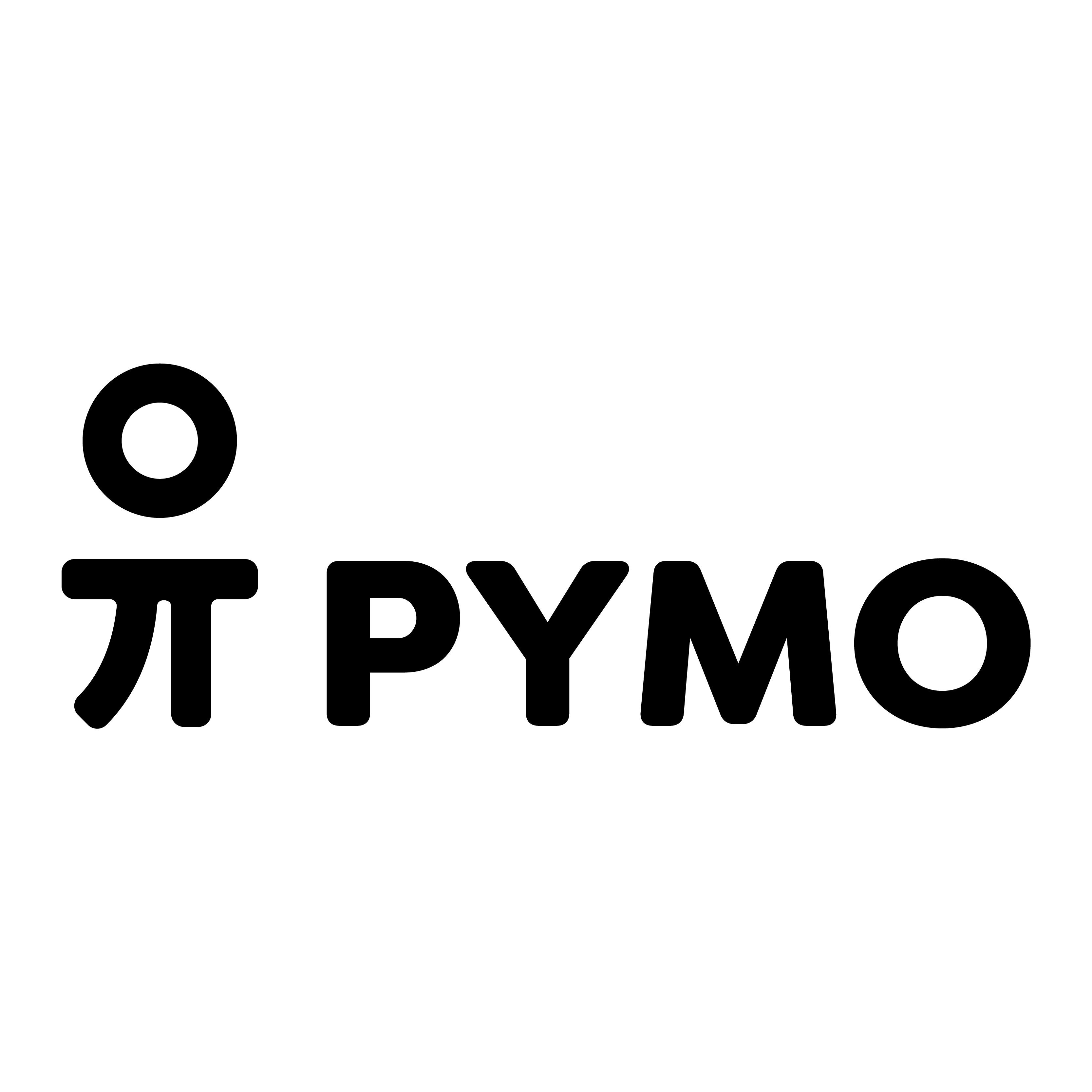 Information Tecnology Lead