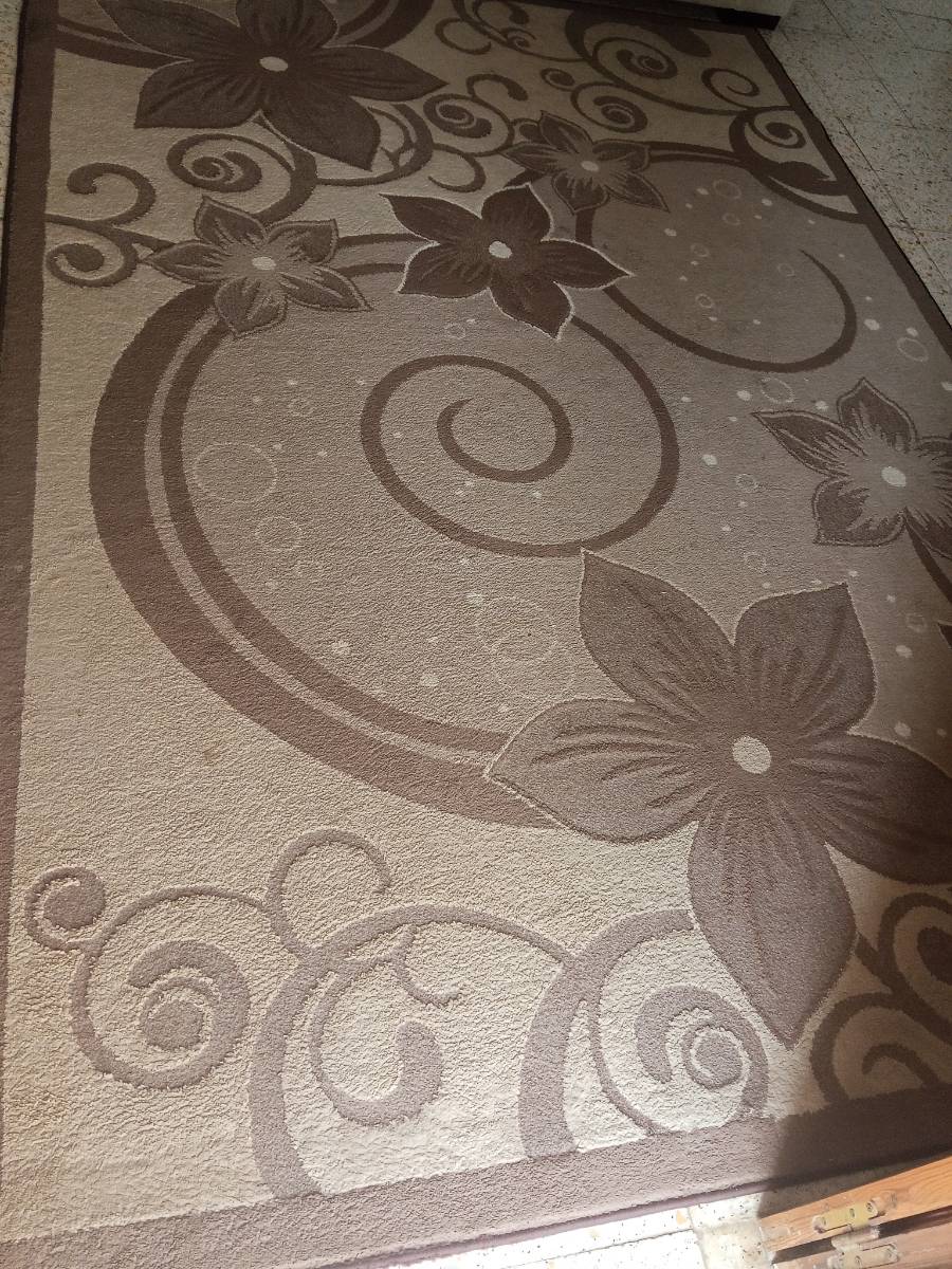 tapis salon