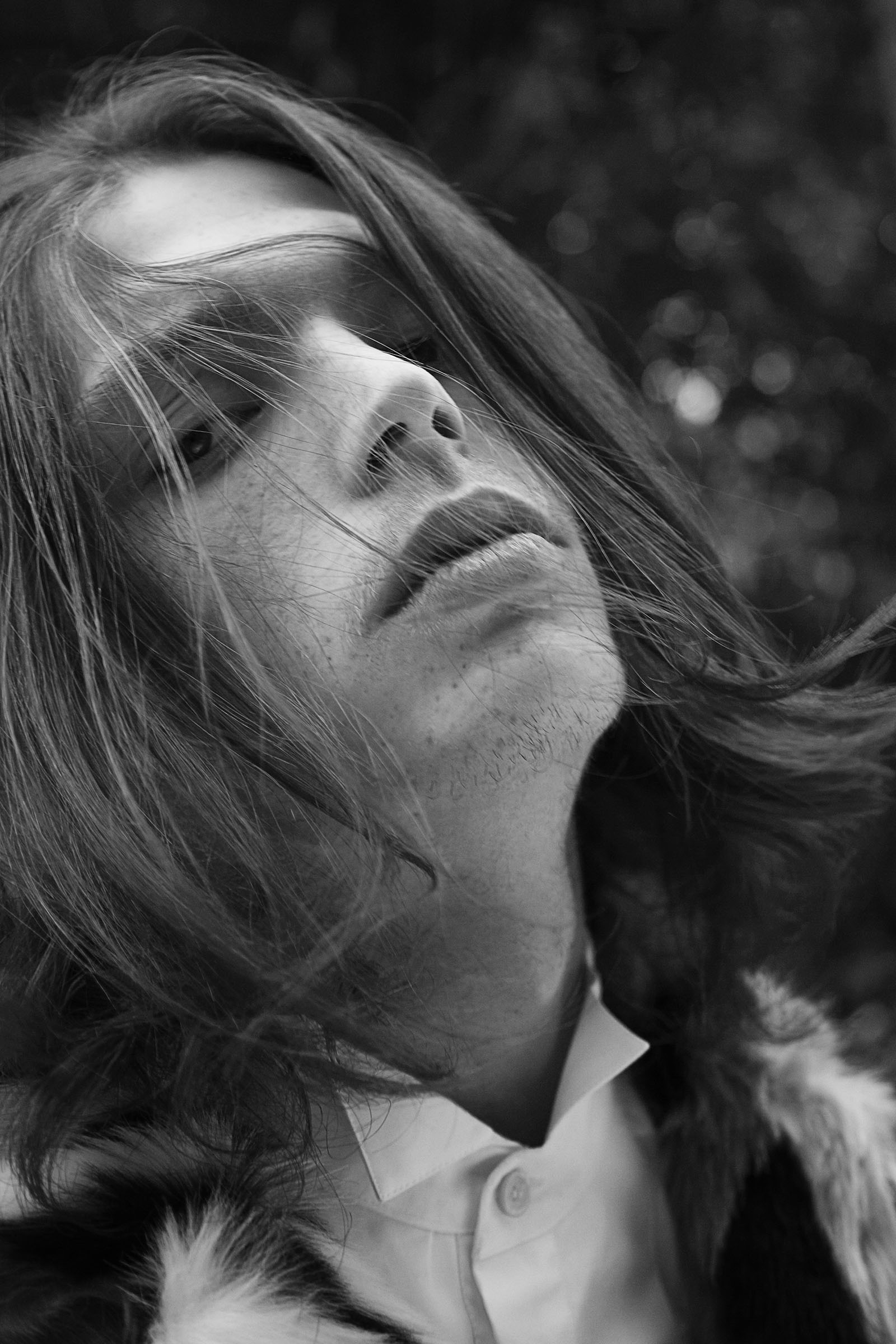 Tailwind CSS Carousel component