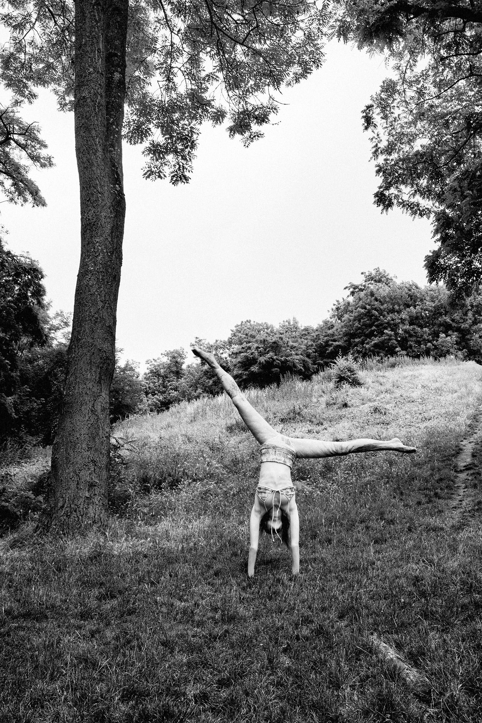 Tailwind CSS Carousel component