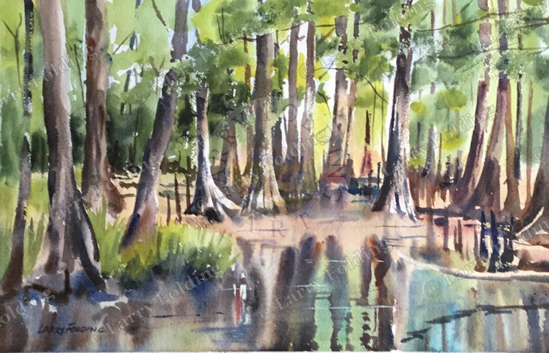 Cypress Swamp