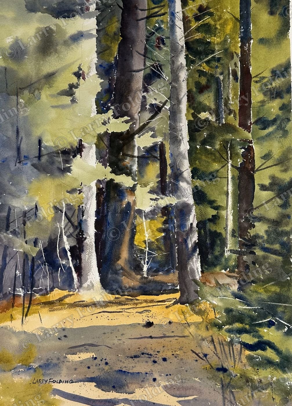 Hiking Trail