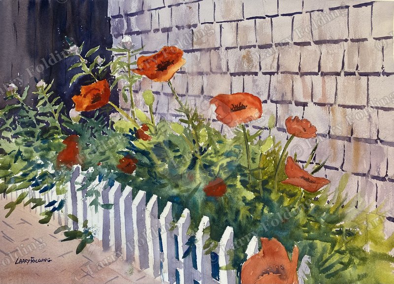 Poppies and Peony Buds