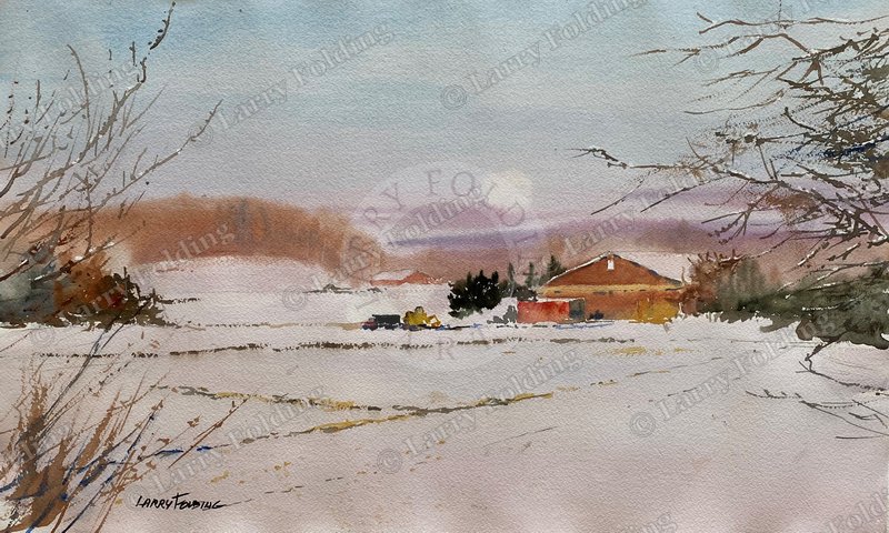 Winter Bog