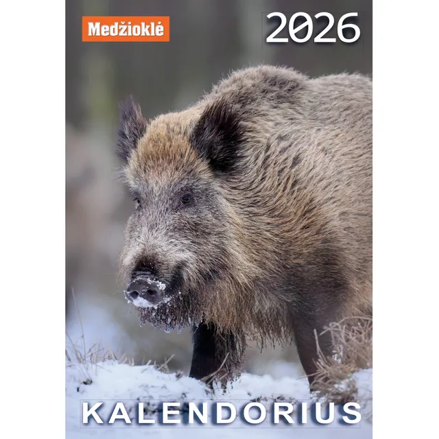 Kalendorius 2026 MEDŽIOKLĖ A4