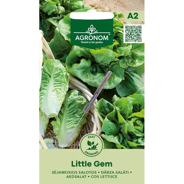 Sėklos AGRN SĖJAMOSIOS SALOTOS LITTLE GEM