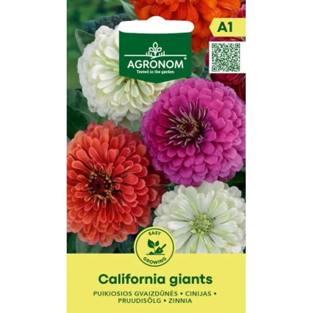 Sėklos AGRONOM GVAIZDŪNĖS PUIKIOSIOS JURGININĖS/CALIFORNIA GIANTS