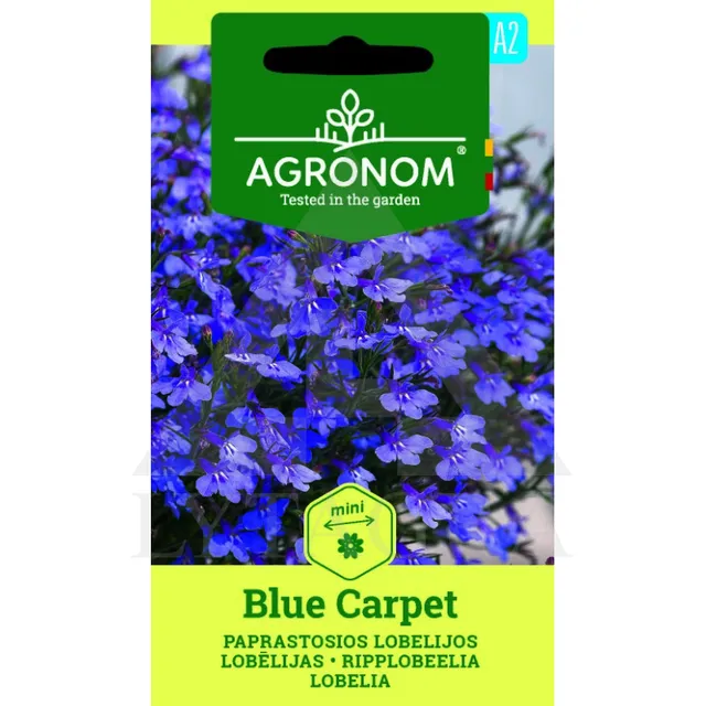 Sėklos AGRN PAPRASTOSIOS LOBELIJOS BLUE CARPET