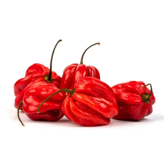 Aitriosios paprikos HABANERO