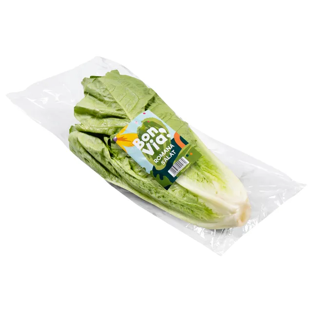 Salotos BON VIA ROMAINE