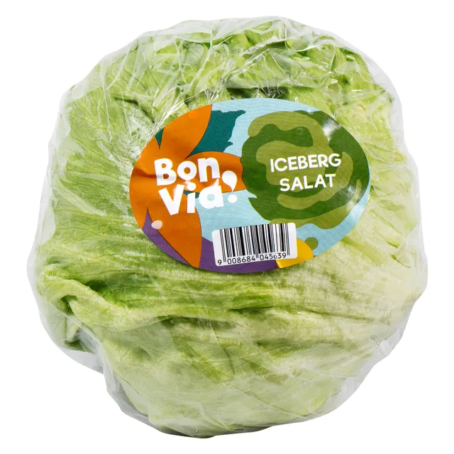 Salotos ICEBERG