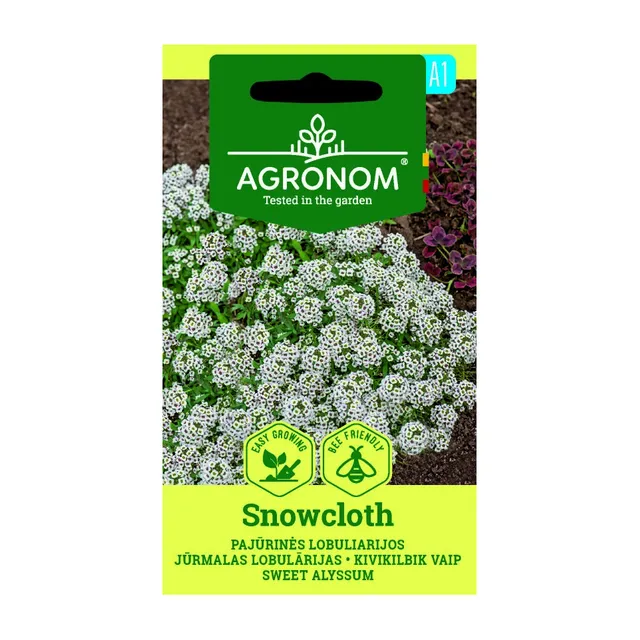 Sėklos pajūrinės lobuliarijos snowcloth AGRN