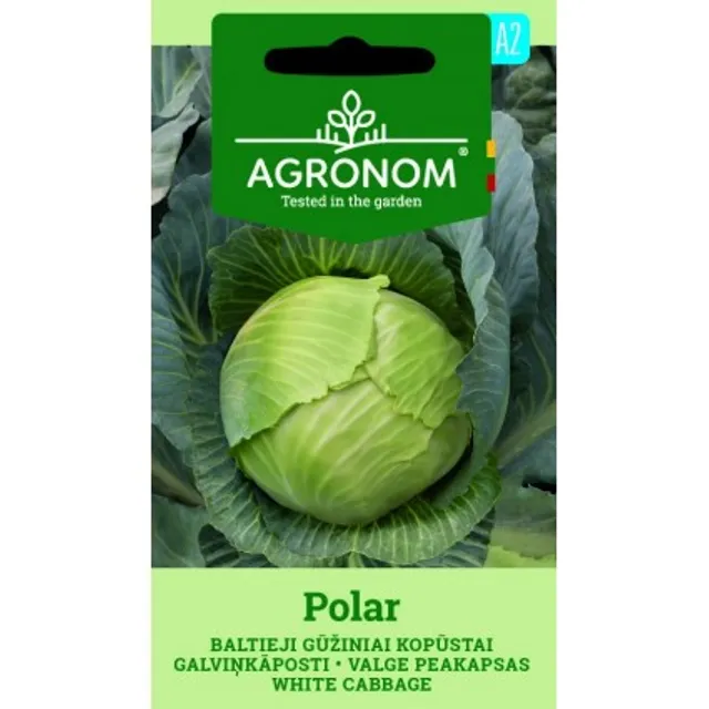 Sėklos AGRONOM KOPŪSTAI BALTIEJI GŪŽINIAI POLAR