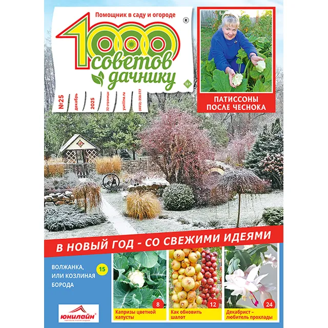Žurnalas 1000 SOVETOV DAČNIKU