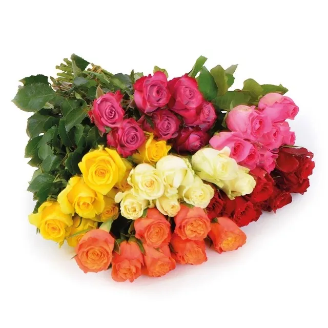 Skintos rožės 40 CM, 7 VNT