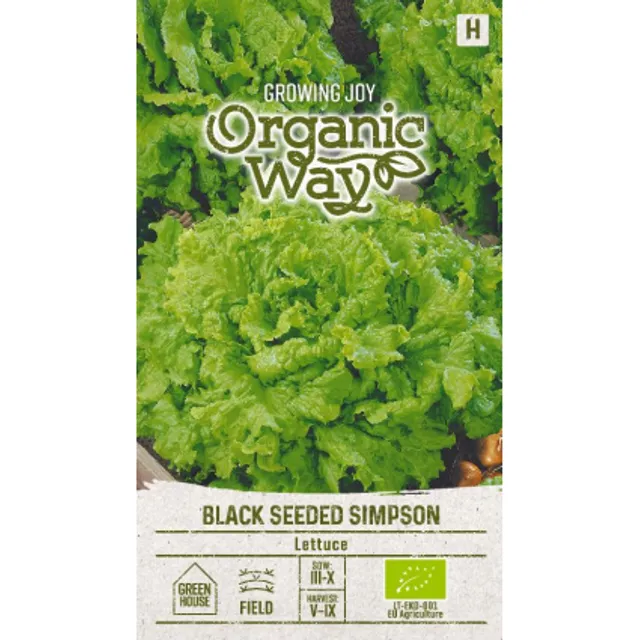Sėklos OW SALOTOS SĖJAMOSIOS BLACK SEEDED/SIMPSON