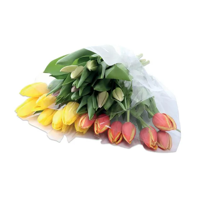 Skintos gėlės LIETUVIŠKOS TULPĖS 45 cm., 25 vnt