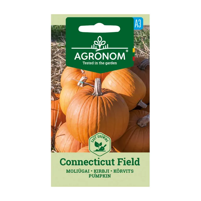 Sėklos moliūgai connecticut field AGRN