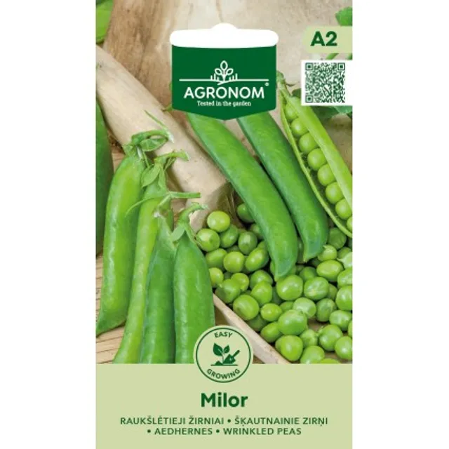 Sėklos žirniai raukšlėtieji milor AGRN
