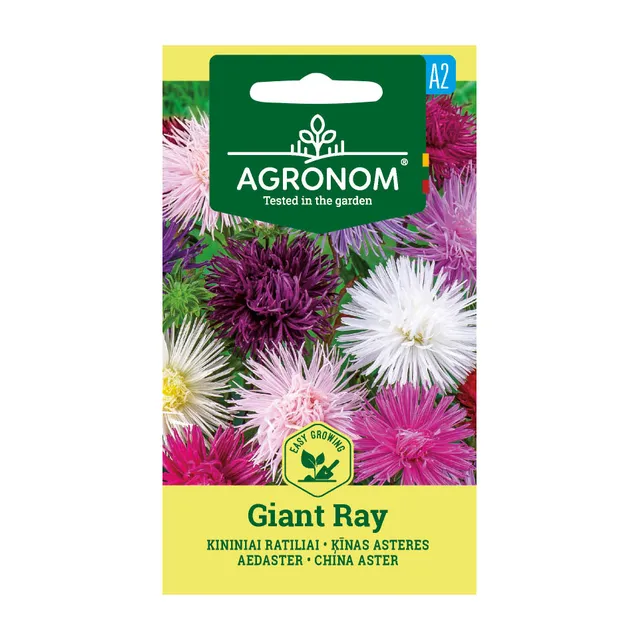 Sėklos ratiliai kininiai giant ray mišinys AGRN