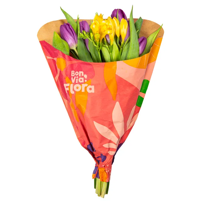 Skintos tulpės ir frezijos BON VIA FLORA, 35 cm, 12 vnt