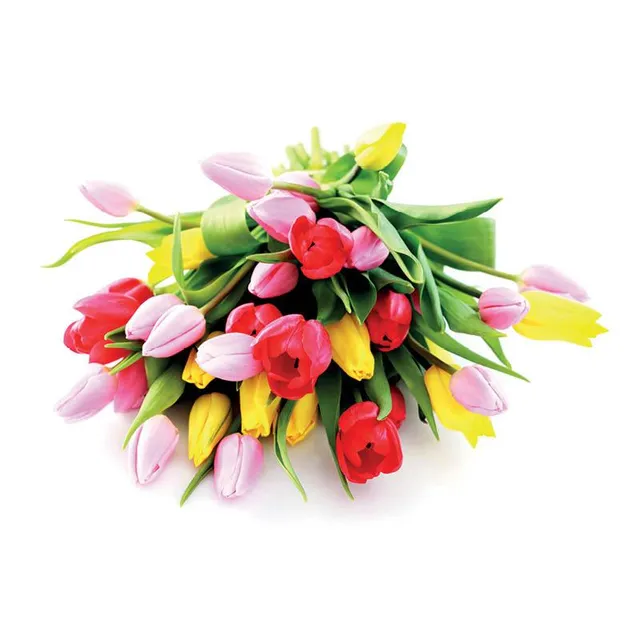 Skintos tulpės BON VIA FLORA, 35 CM, 50 vnt