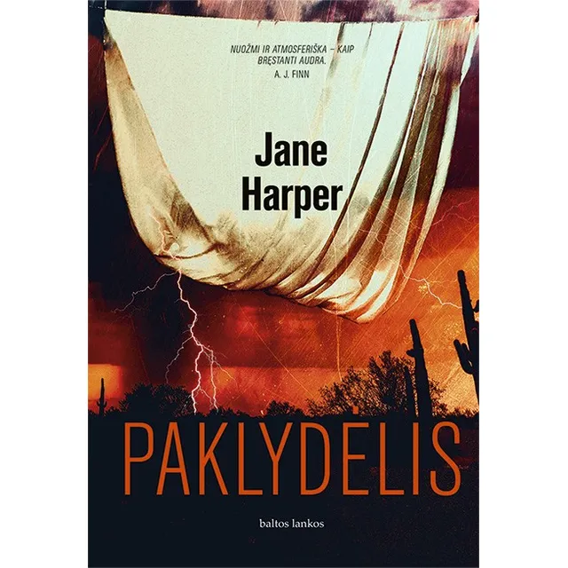 Knyga PAKLYDĖLIS