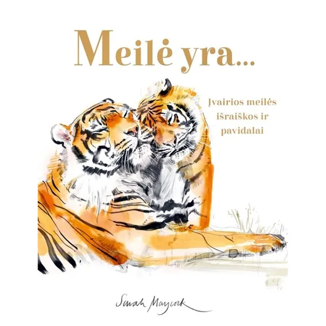 Knyga MEILĖ YRA...