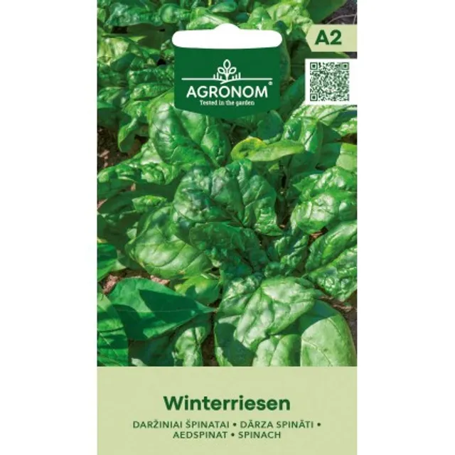Sėklos AGRONOM ŠPINATAI DARŽINIAI WINTERRIESEN