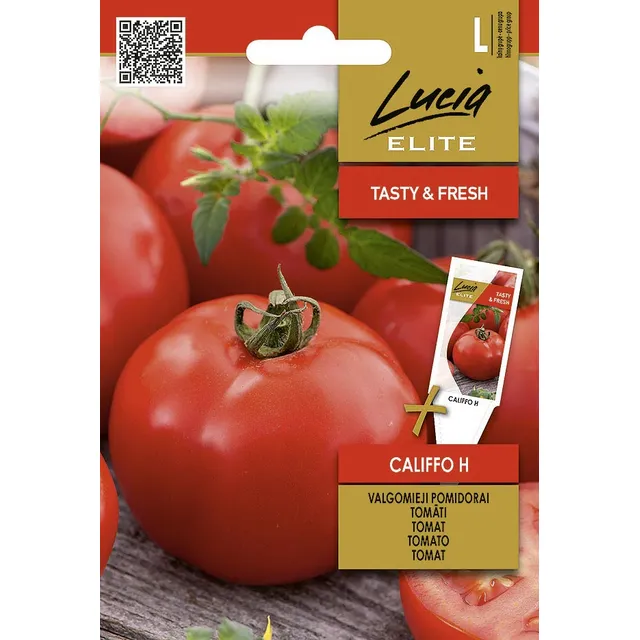 Sėklos LUCIA ELITE POMIDORAI CALIFFO H/CORVETA H