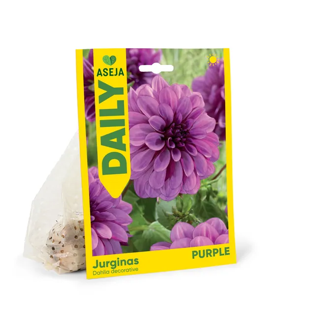 ASĖJA DEKORATYVINIO JURGINO PURPLE SVOG