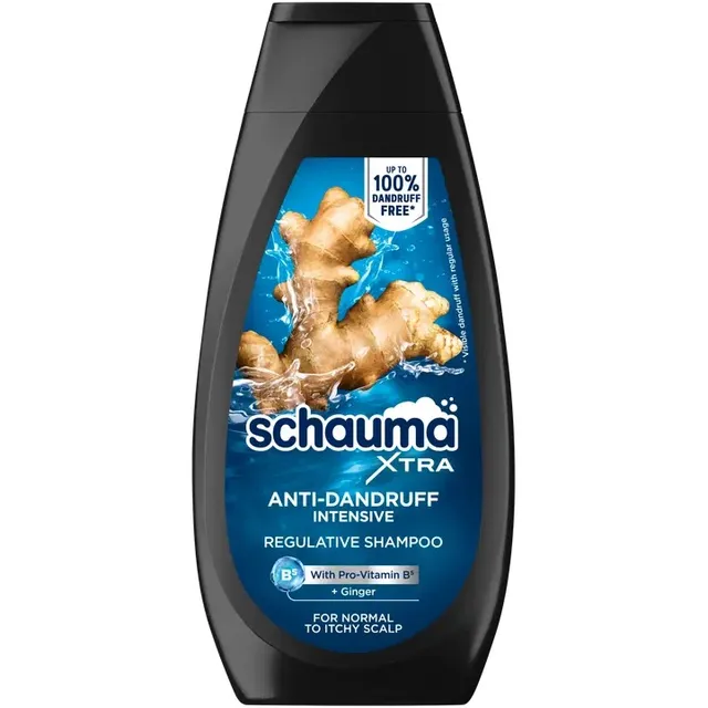 Plaukų šampūnas Schauma Men Anti-Dandruff 350ml