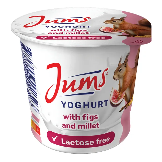 Jogurtas JUMS su figomis ir sorų kruopomis 2,5% rieb., be laktozės 125g