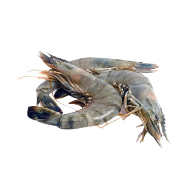 Atitirpintos Baltakojės blyškiosios krevetės,30/40, su galva, su kiautu, nevirtos, 1kg