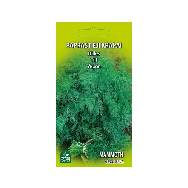 Sėklos KRAPAI PAPRASTIEJI MAMMOTH 0278