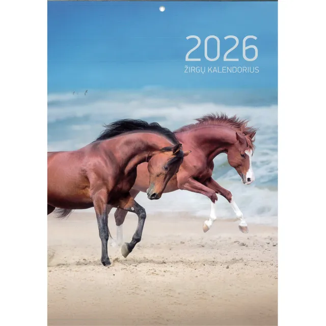 Kalendorius 2026 ŽIRGŲ METŲ ČEIL, A4