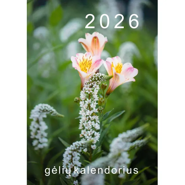Kalendorius 2026 GĖLIŲ ČEIL, A4