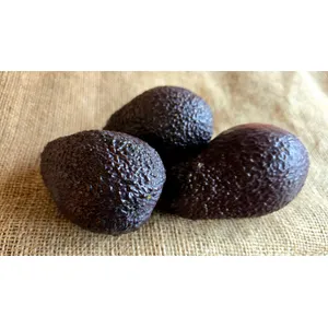 Avokadai 2kl.
