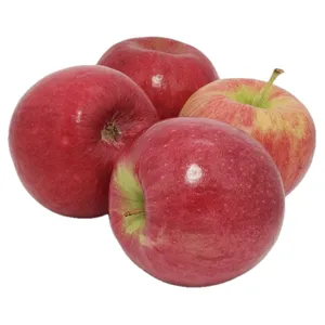 Obuoliai CRIMSON SNOW 