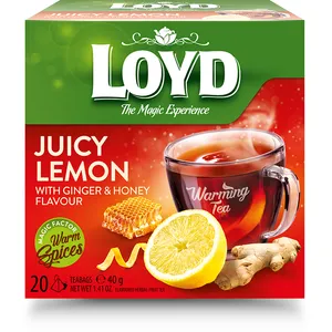Imbierų, citrinų ir medaus skonio žolelių arbata LOYD WARMING TEA, 20 vnt.