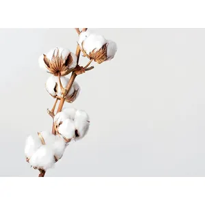 Skintos Medvilnės šakelės, 60 CM, 2 vnt