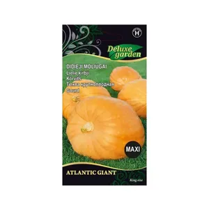 Sėklos DELUXE GARDEN DIDIEJI MOLIŪGAI ATLANTIC/GIANT 3942