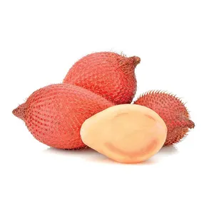 SALAKPALMĖS (gyvatės vaisius)
