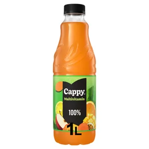 Įvairių vaisių nektaras CAPPY JUICE, 1 l