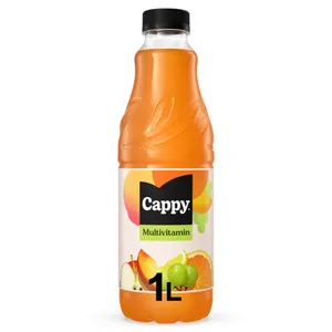 Įvairių vaisių nektaras CAPPY JUICE, 1 l