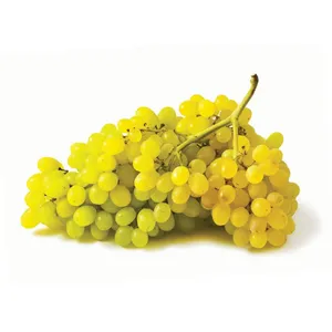 Žaliosios besėklės vynuogės  JUMBO