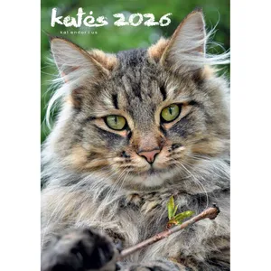 Kalendorius 2026 KATĖS LA A4